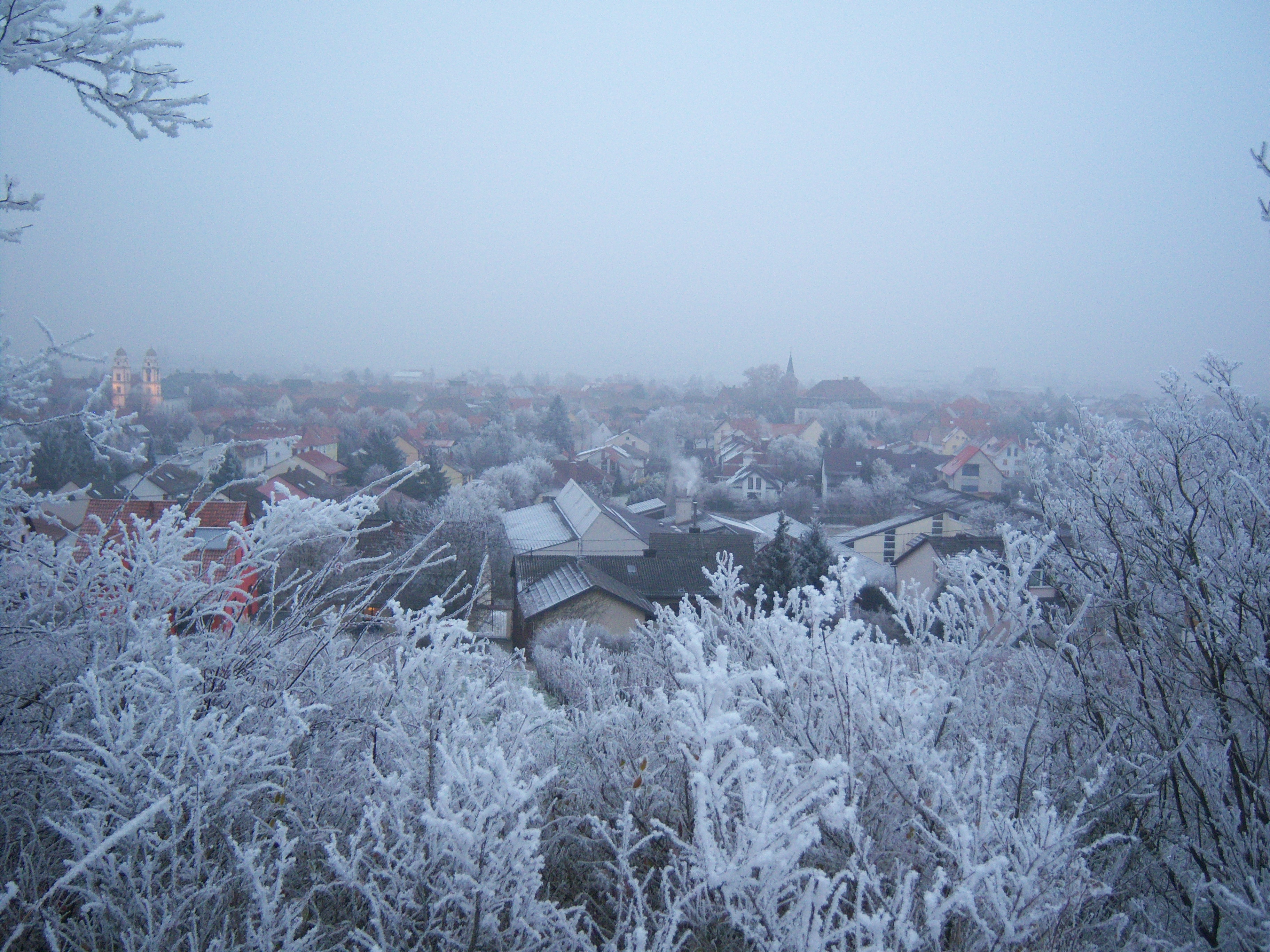 Blick auf Guntersblum von den Weinbergen